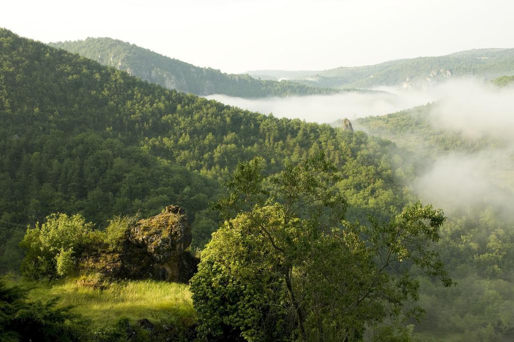 Le Colombier Saint-Veran La Roque-Sainte-Marguerite Kültér fotó