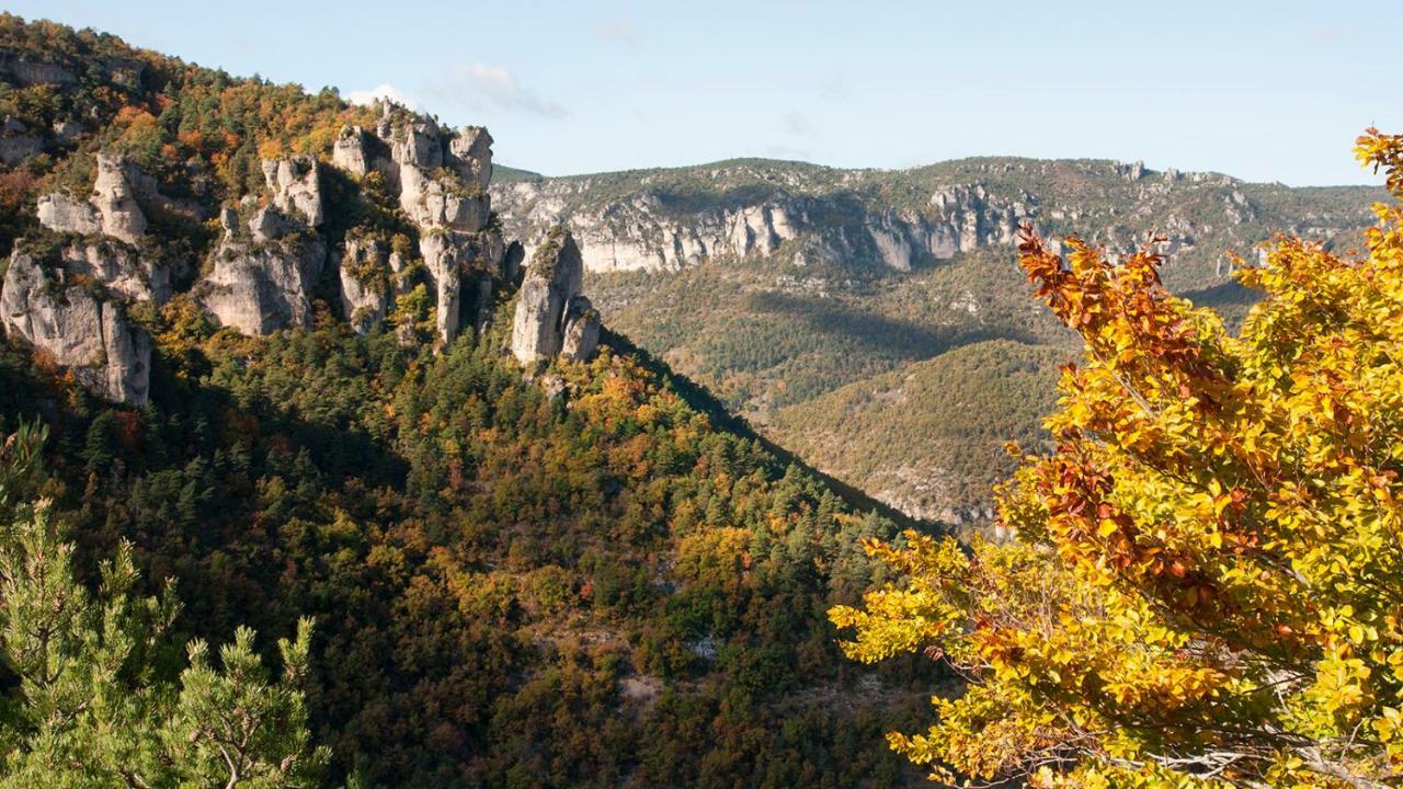 Le Colombier Saint-Veran La Roque-Sainte-Marguerite Kültér fotó